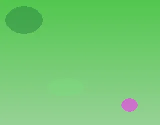 星空官网