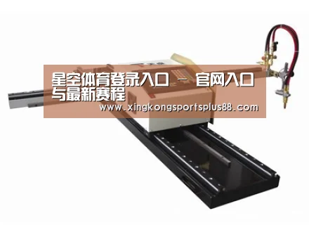 案例展示一