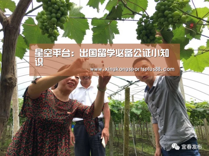 星空平台:出国留学必备公证小知识(图2) 星空官网
